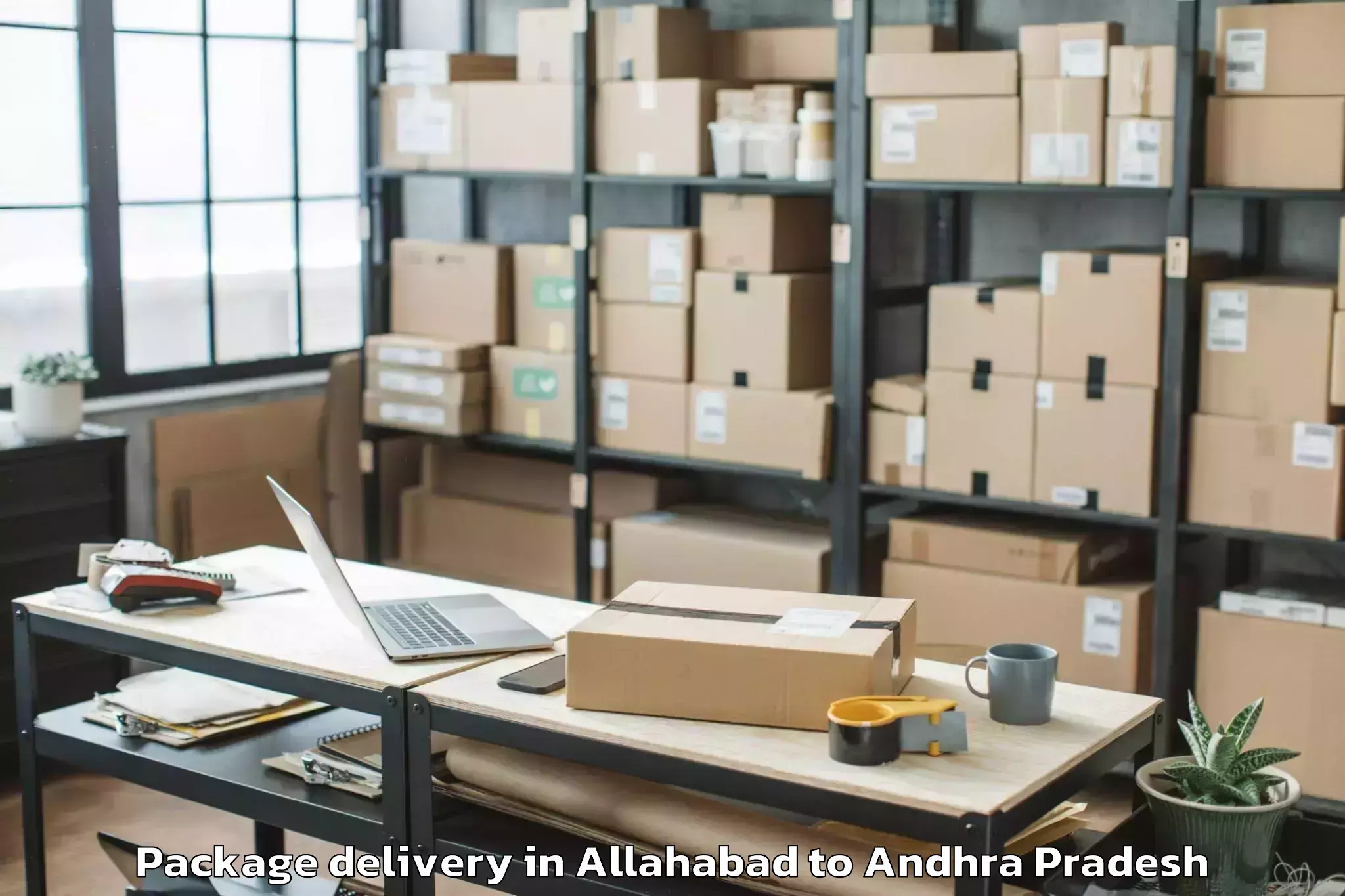 Quality Allahabad to Vemuru Package Delivery